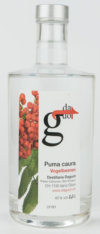 Vogelbeeren, puma caura 40° Destillaria Daguot