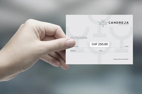Gutschein Wert CHF 250.00