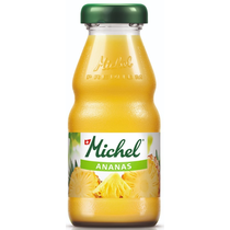 Michel Ananas EW