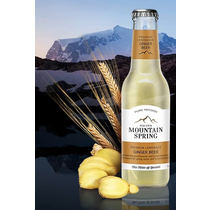 Swiss Mountain Spring Ginger Beer EW