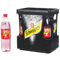 Schweppes Wild Berry Tonic PET mit Pfand