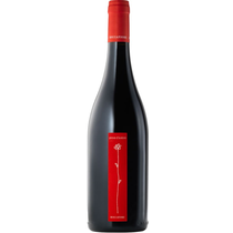 Prova d'Autore Umbria rosso IGT Bio Roccafiore