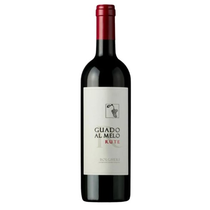 Rute DOC Bolgheri Guado al Melo 