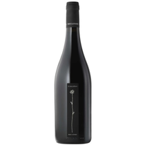Il Roccafiore Sangiovese DOC Bio