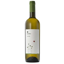 Bianco Fiordaliso Todi Grechetto DOC Bio 