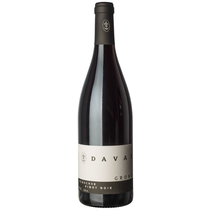 Pinot noir grond 12er/Kart.