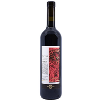 Merlot Terre di Gudo rosso Ticino DOC 