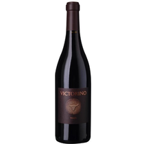 Victorino Toro DO