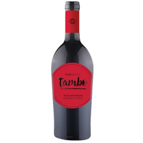 Merlot Passo di Tambo Ticino DOC 