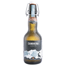 Engadiner Bier Bernina Lager hell Bügel