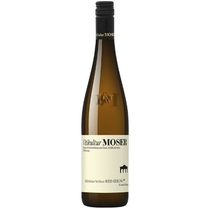 Grüner Veltliner Ried Gebling Kremstal Bio Sepp Moser